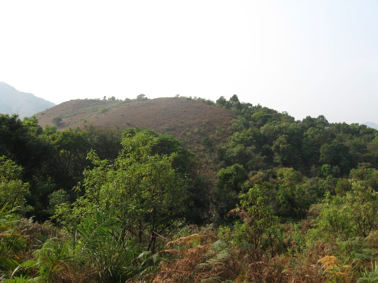 20 acre land for sale in Mudigere